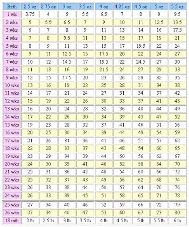 11 Yorkie Weight Chart MollyNainika
