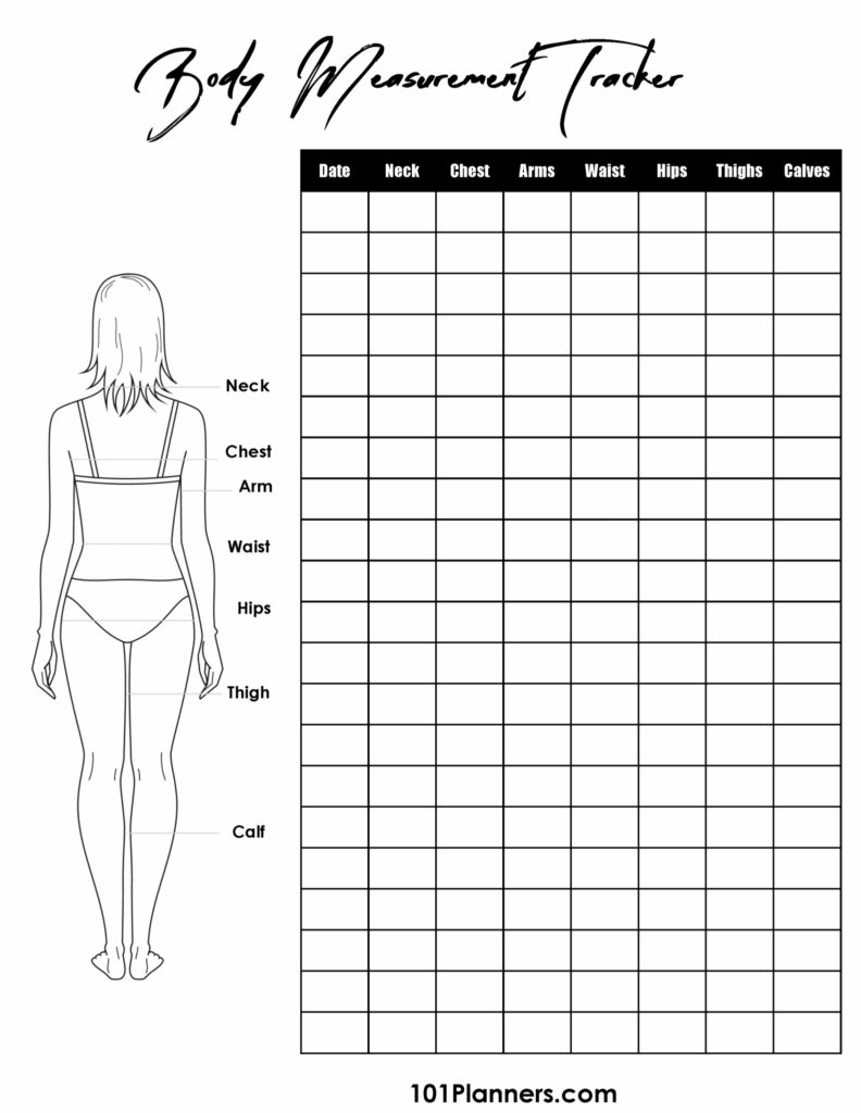 19 Free Body Measurement Chart Celebrity Body Measurements Body 