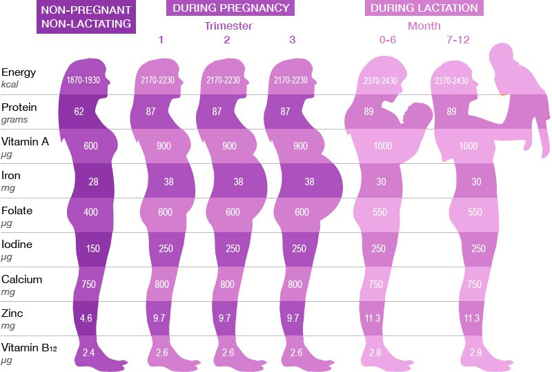 24 Weeks Weight Gain Chart A Visual Reference Of Charts Chart Master