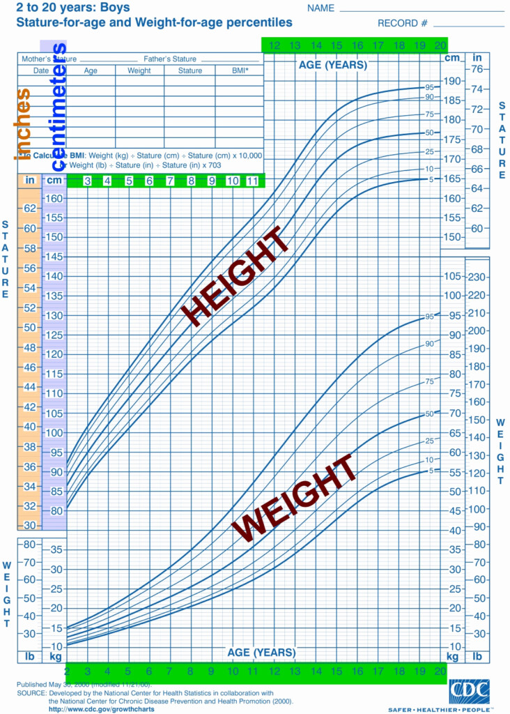 30 Boys Height Weight Chart Tate Publishing News