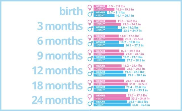 30 Month Old Height Weight Chart Ponasa