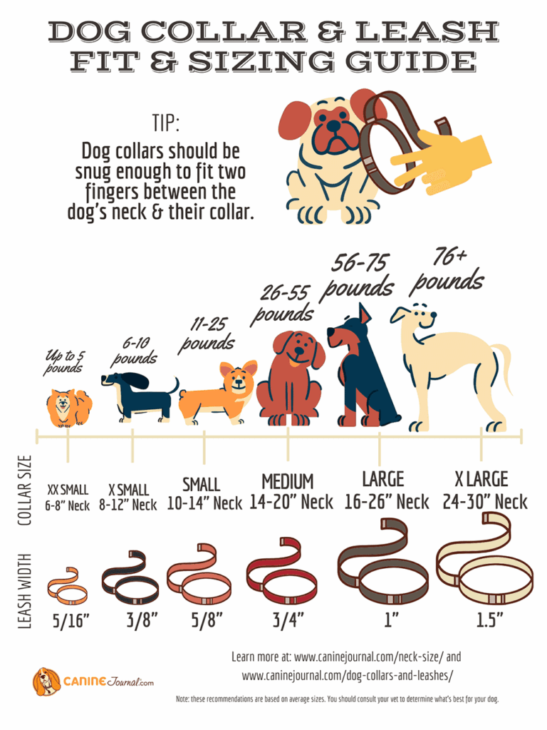 63 Cavalier King Charles Weight Chart L2sanpiero