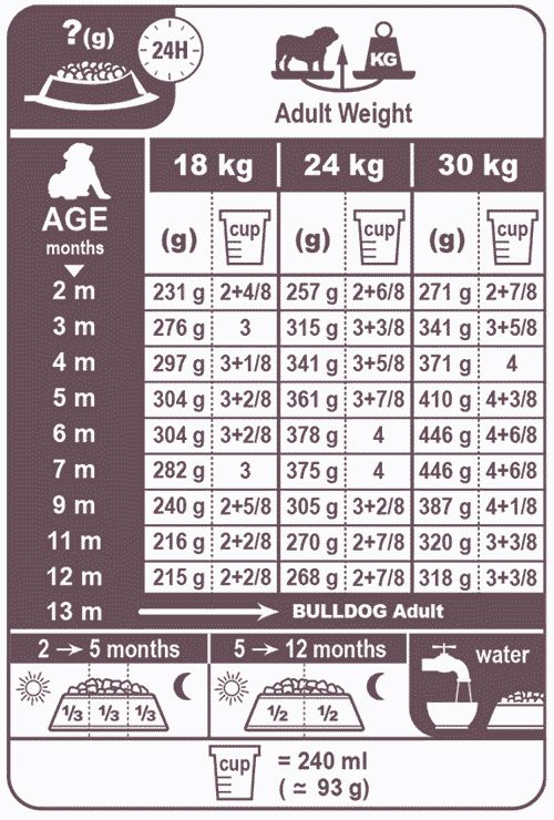 77 English Bulldog Weight Chart Kg In 2022 Weight Charts English 