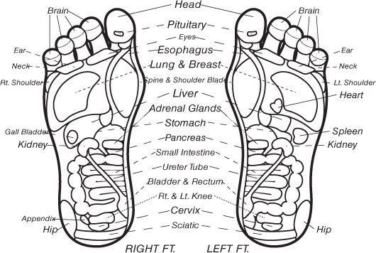 Acupressure Points For Weight Loss With Chart Ponasa