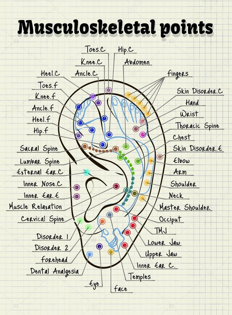 Acupuncture Points Chest Chart Minga