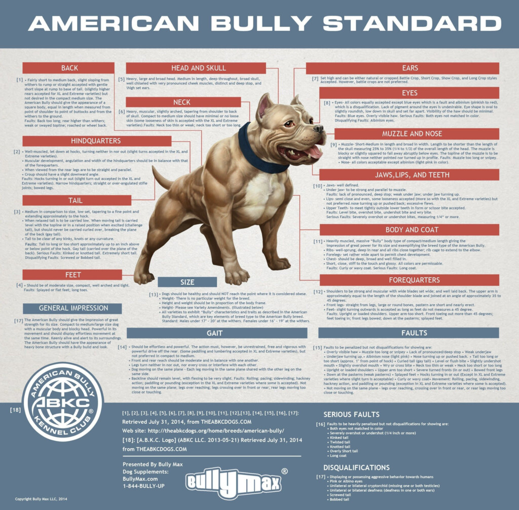 American Bully Xl Weight Chart By Age Top 10 American Bully