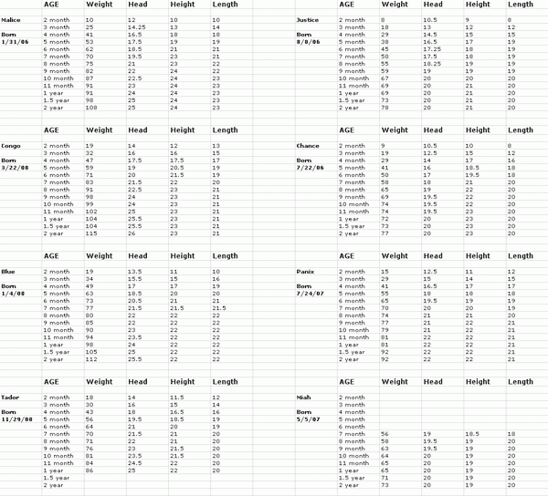 American Bully Xl Weight Chart
