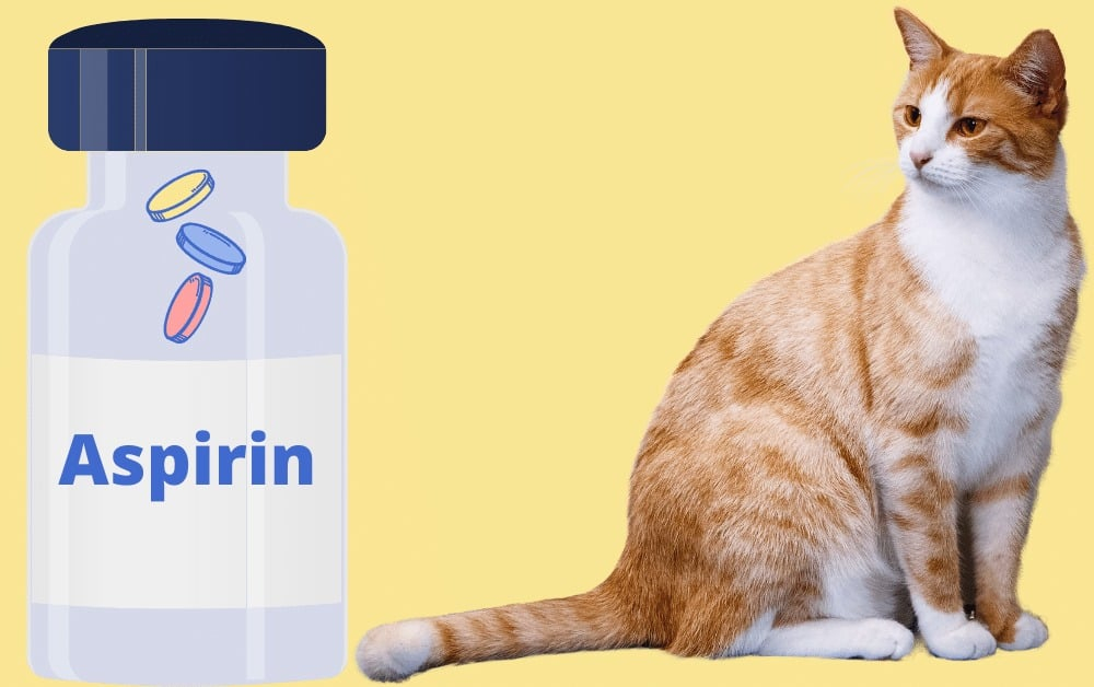 Aspirin For Cats Dosage Chart Aspirin Poisoning Explained