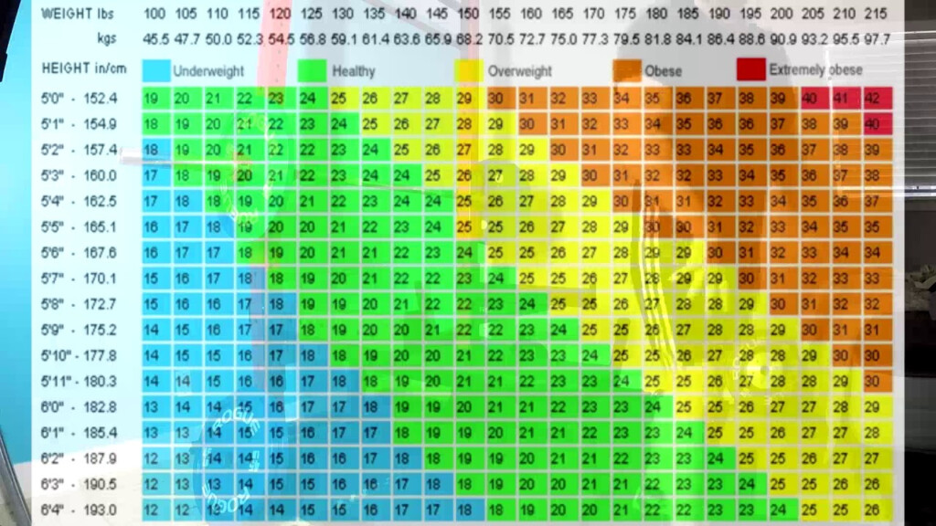Athletes Height And Weight Chart