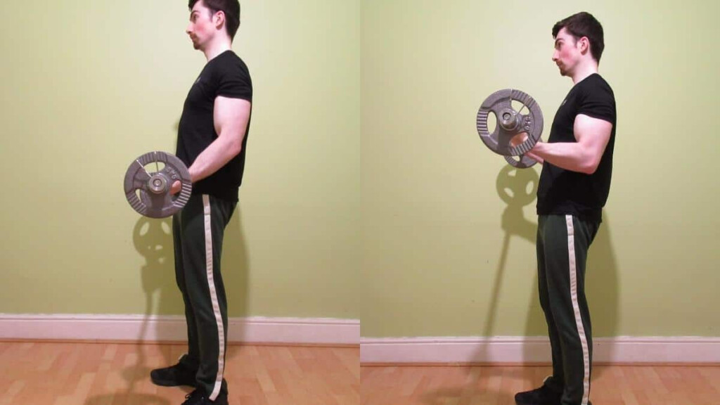Average Curl Weight Dumbbell And Barbell Curl Standards 