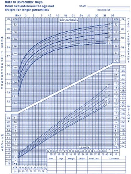 Average Weight Of A Newborn Weight Of