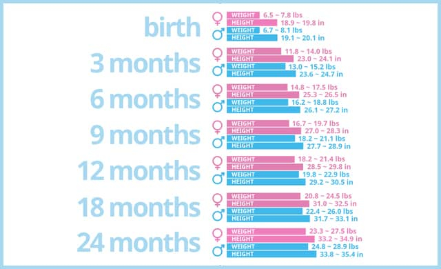 Baby Growth Chart