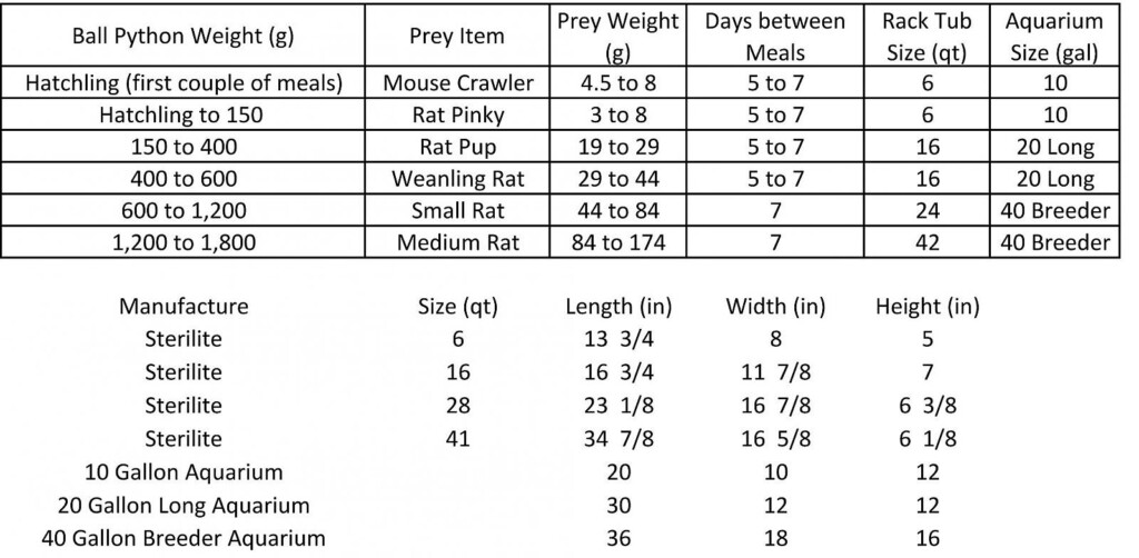 Ball Python Feeding Chart My Files File Catalog Repticake