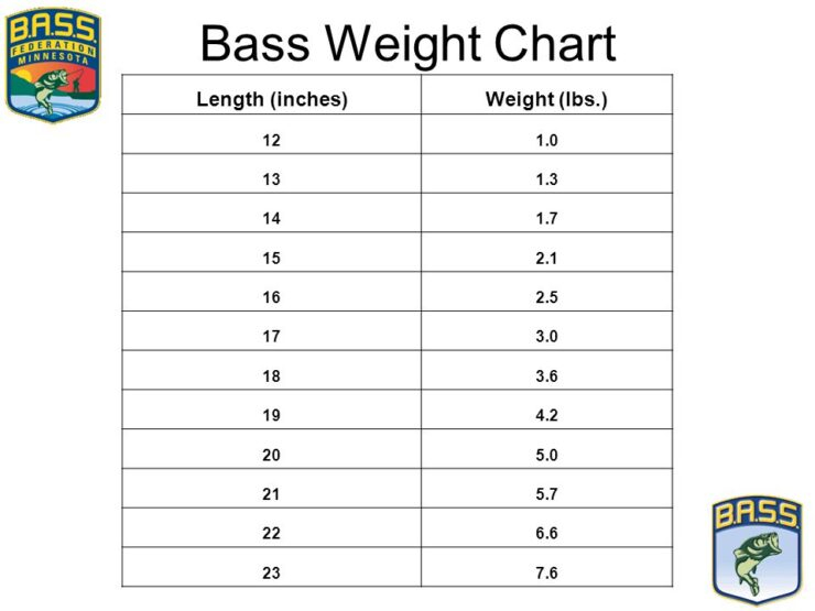 Bass Length Vs Weight Chart My XXX Hot Girl