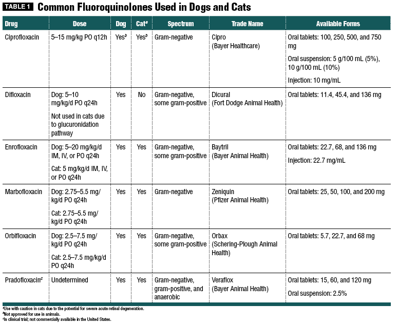 Baytril Dosage Chart For Dogs A Visual Reference Of Charts Chart Master