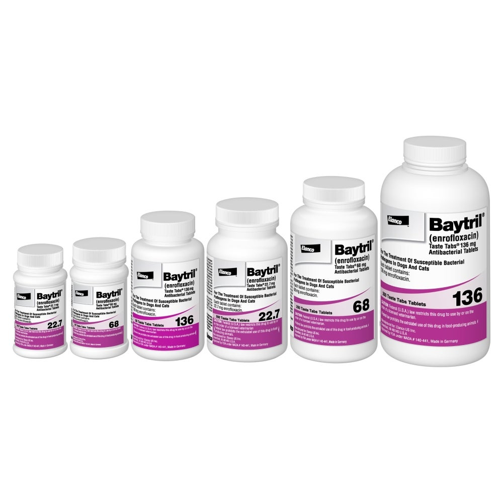 Baytril enrofloxacin Antibacterial Tablets For Dogs Cats