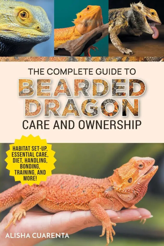 Bearded Dragon Weight Chart
