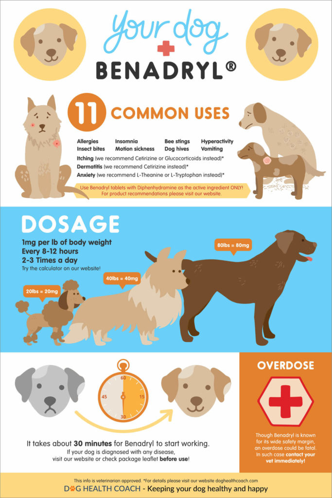 Benadryl Dosage For Dogs Does Benadryl Make Dogs Sleepy 