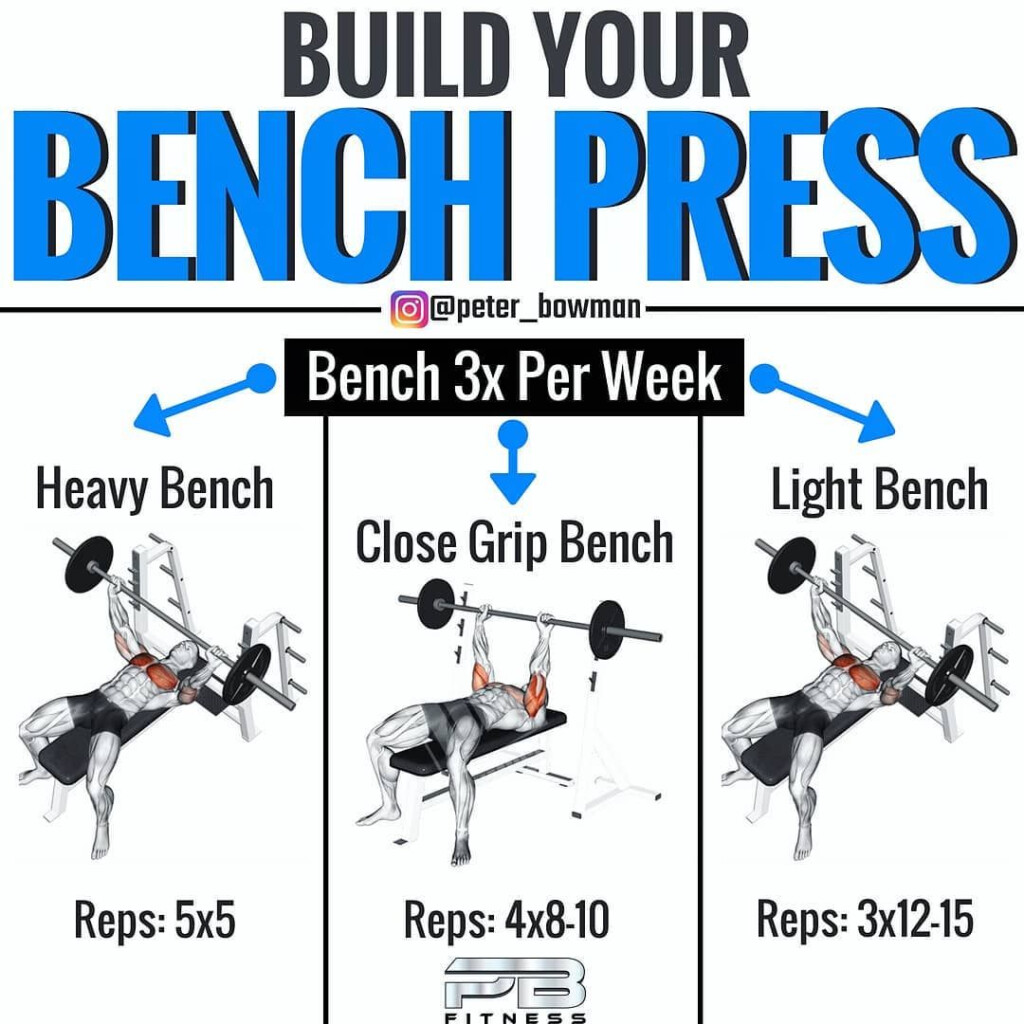 Bench Press Size Chart BENCH