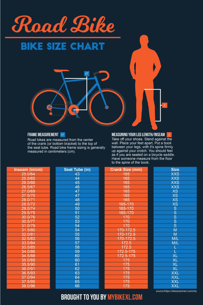 Bike Size Chart 2022 BMX City Hybrid Mountain Road Kids 