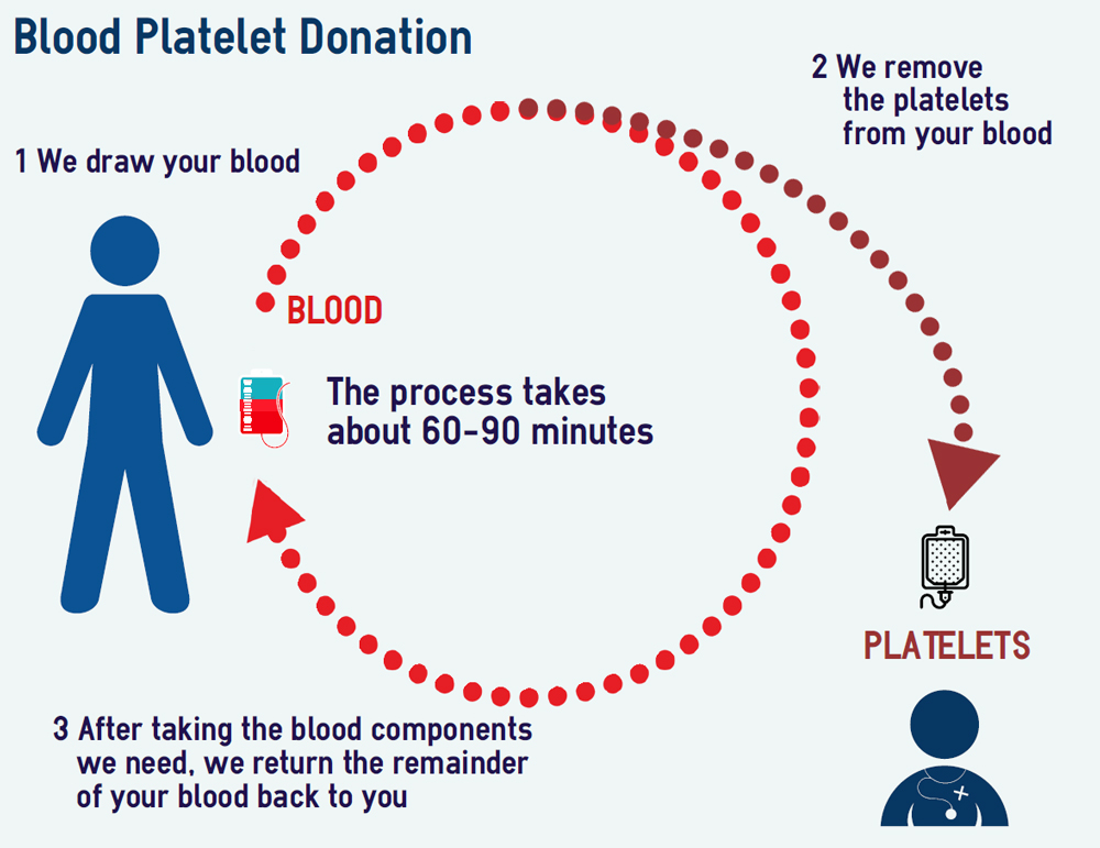 Blood Donation Weight Chart