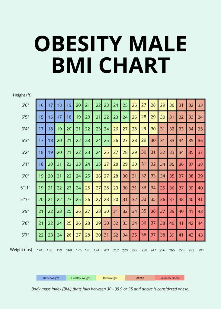Bmi Chart For Adults To Determine Normal Obese Overweight Or The Best 