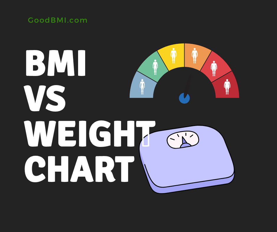 BMI Vs Weight Chart Understanding The Differences For Healthy Body 