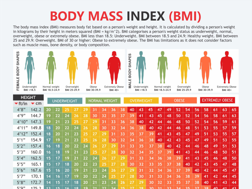 Body Mass Index Chart Digital Download PDF Height And Weight Body 