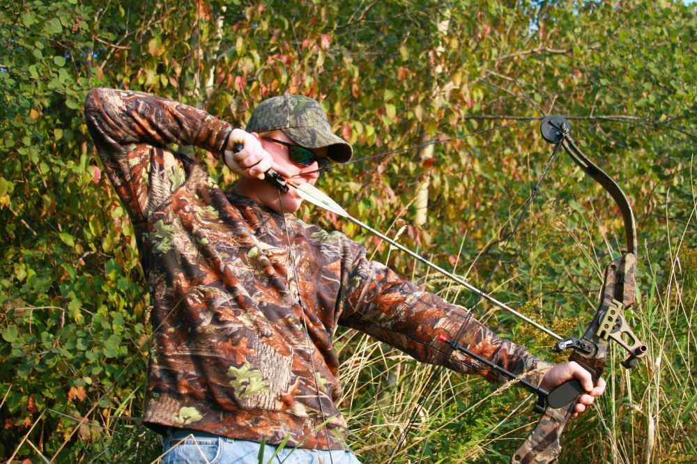 Bowhunting Draw Weight Chart Minimum Draw Weight For Elk Per
