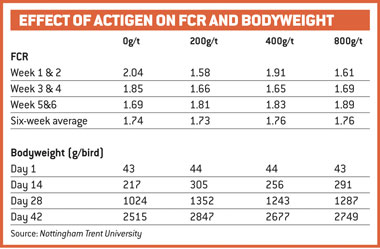 Broiler Chicken Weight Chart