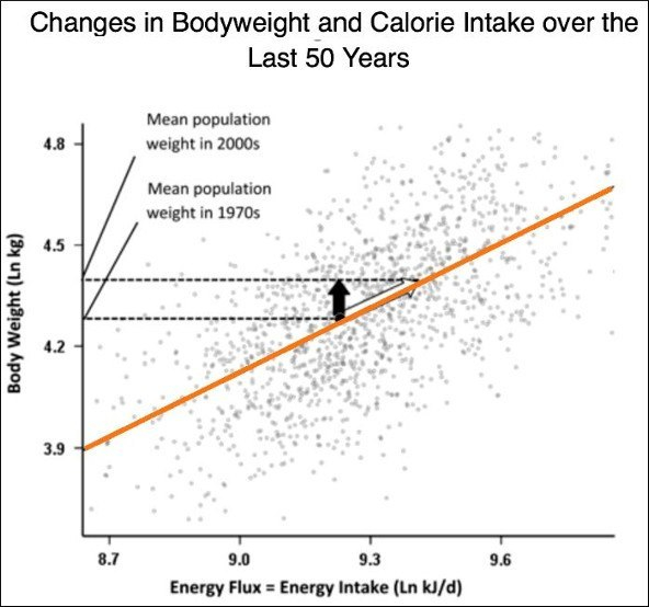Calorie Intake Chart By Weight And Height Ponasa