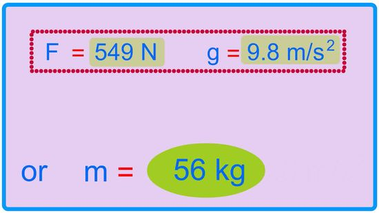 Cat Body Weight Chart Ponasa