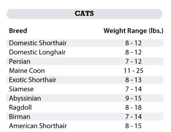 Cat Weight Chart Archives My Kitty CareMy Kitty Care