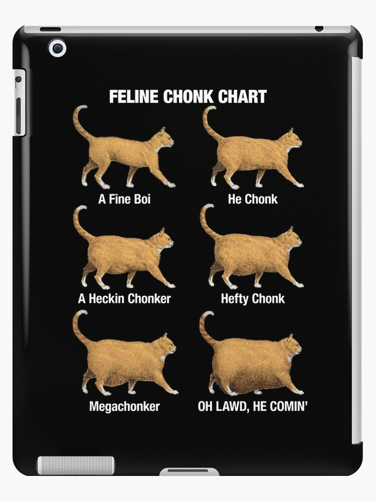 Cat Weight Chart Meme Ubicaciondepersonas cdmx gob mx