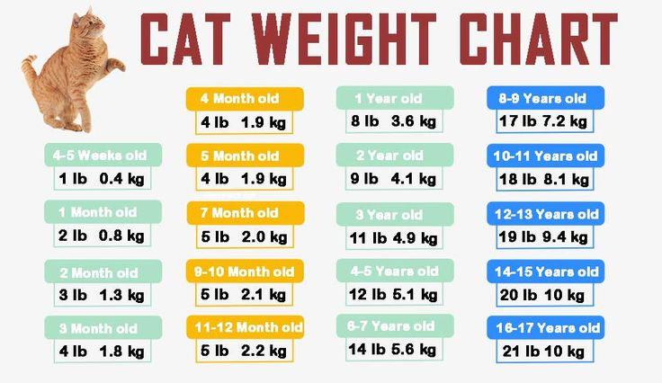Cat Weight Chart Weight Charts 9 Year Olds
