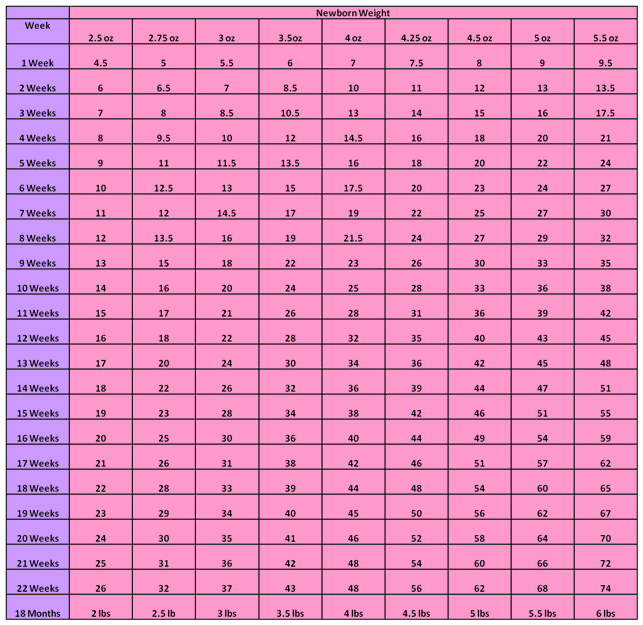 Chihuahua Weight Chart Honey Bee Chihuahuas