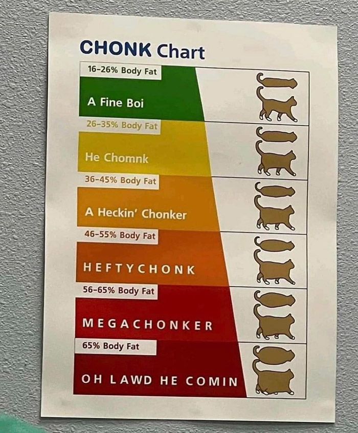 Chonk Chart For Cats