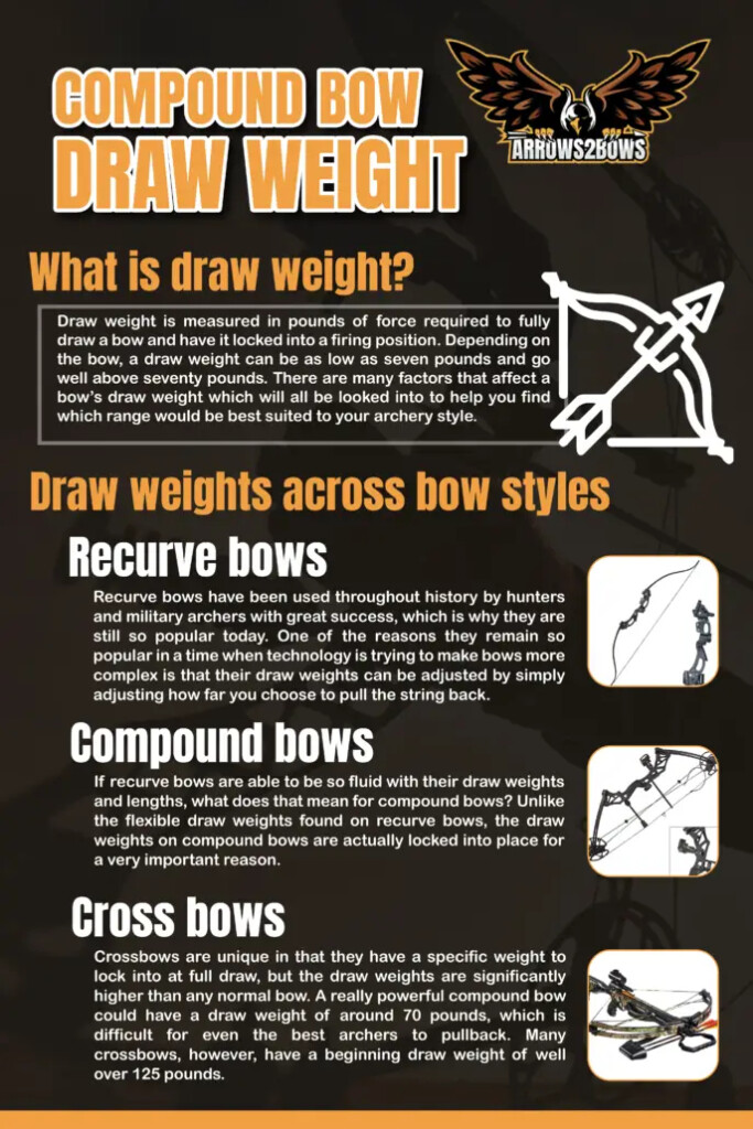 Compound Bow Draw Weight Arrows 2 Bows