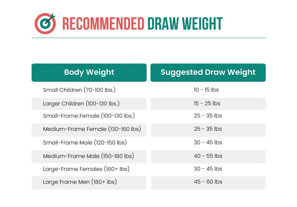 Compound Bow Draw Weight Chart