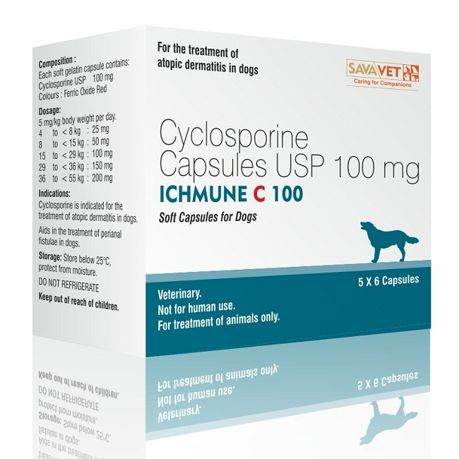 Cyclosporine Atopica For Dogs Uses Dosage Side Effects