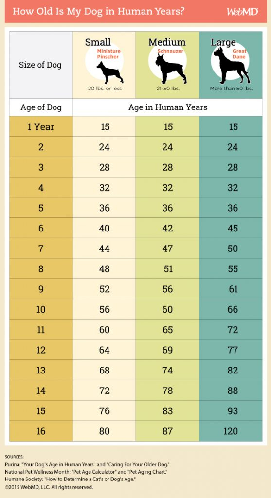 Dog Weight Chart By Age