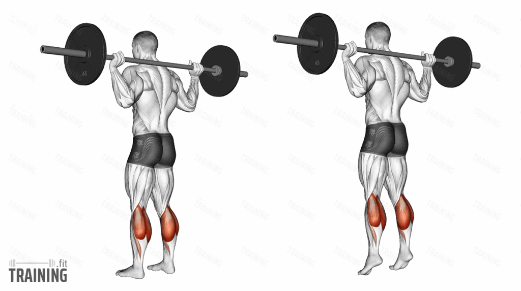 Donkey Calf Raise Instructions Information Alternatives Training fit