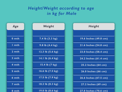 Dribbble Height and weight chart according to age in kg for Male png 