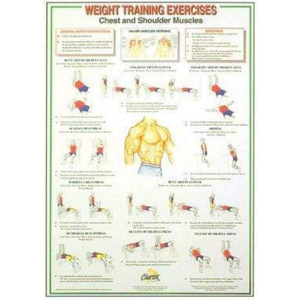 Dumbbell And Barbell Weight Training Instruction Charts set Of 6 