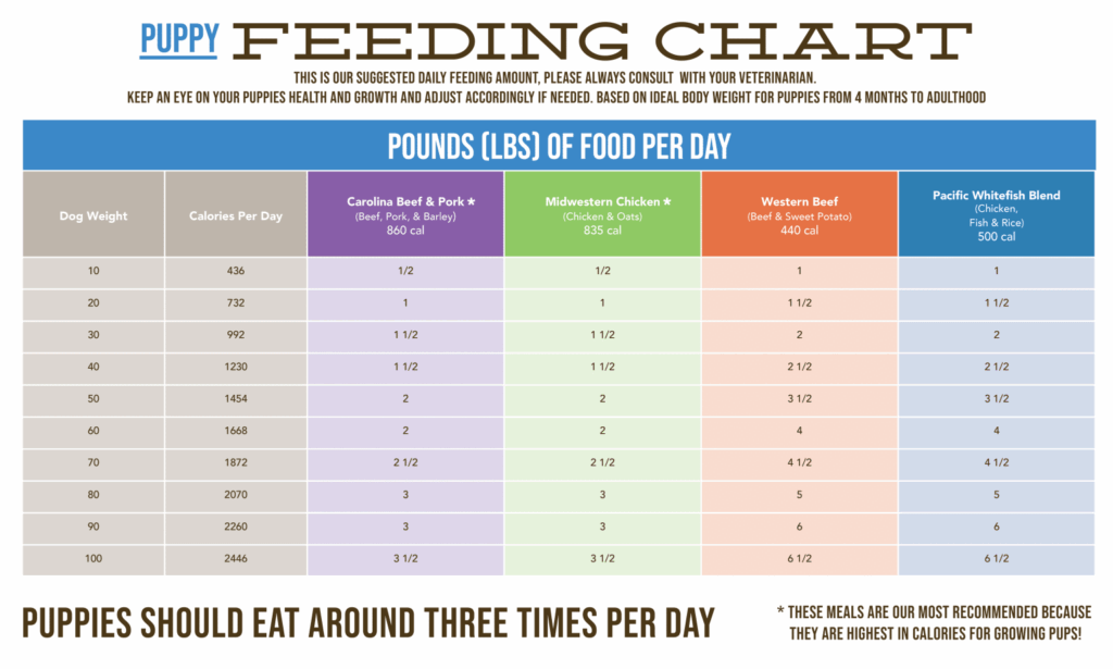 Feeding Chart Rick 39 s Dog Deli