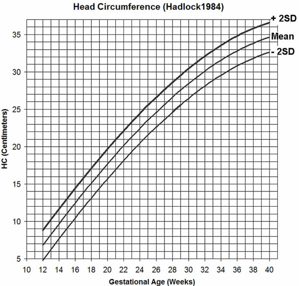 Fetal Gestational Age Weight Chart