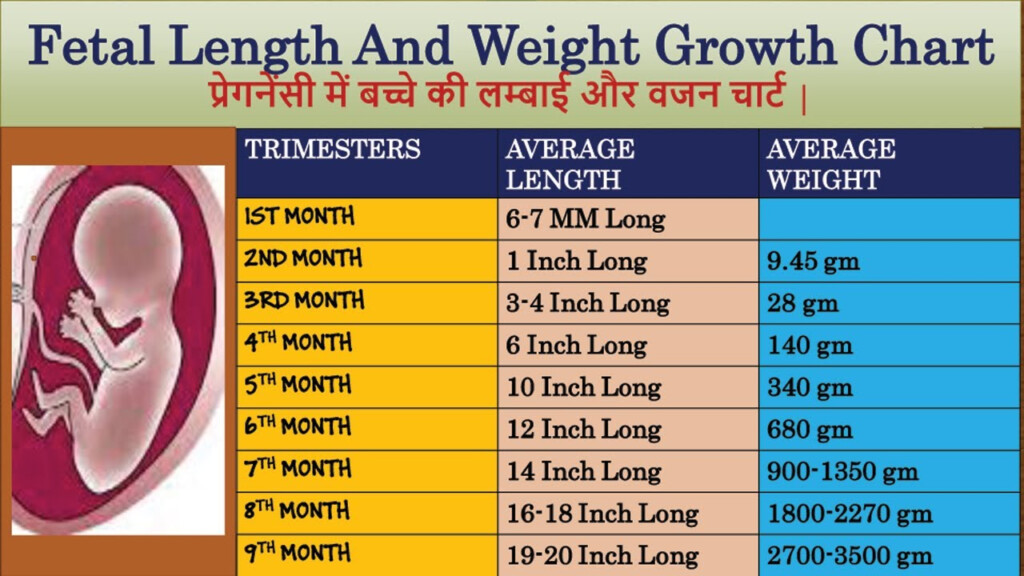 Fetal Weight Chart At 20 Weeks