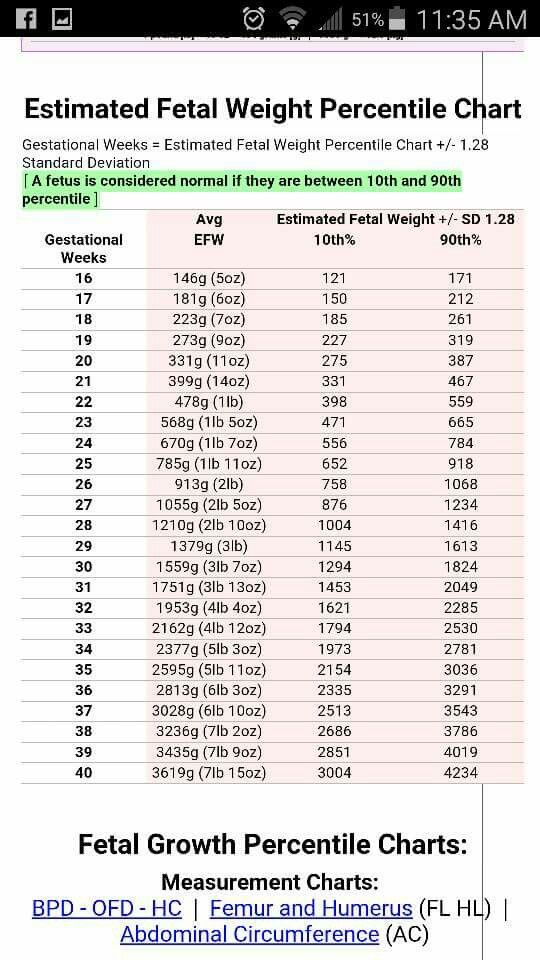Fetal Weight Chart By Week