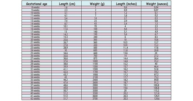 Fetal Weight Chart By Week Percentile