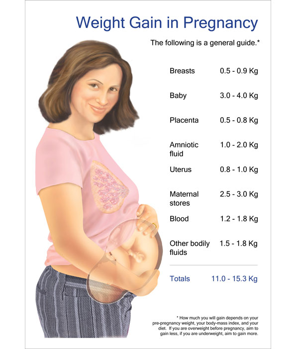 Fetal Weight Gain Chart